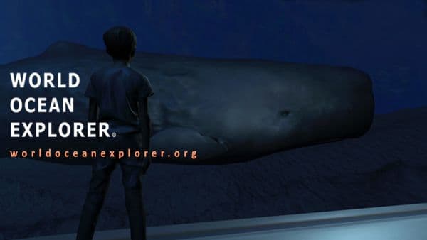 These promotional images highlight educational digital platforms: the SmallTalk app, which uses a 3D animated character named Oscar to teach American Sign Language through interactive quizzes, and the World Ocean Explorer, which provides a free 3D virtual immersion module for classrooms that allows students to observe deep-sea life like sperm whales.
